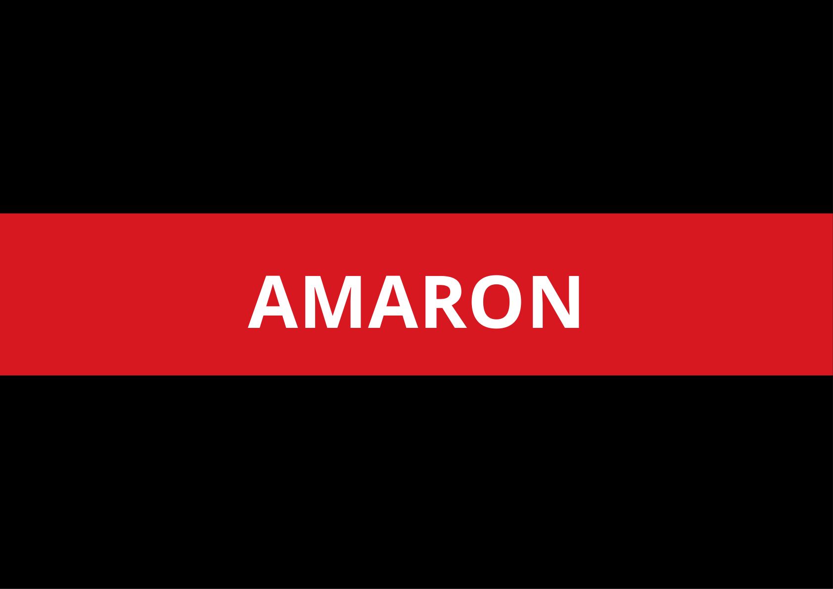 Amara Raja New Energy & Mobility — page 12